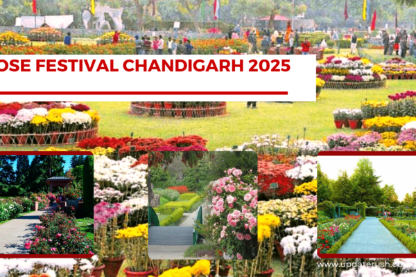 rose festival chandigarh 2025