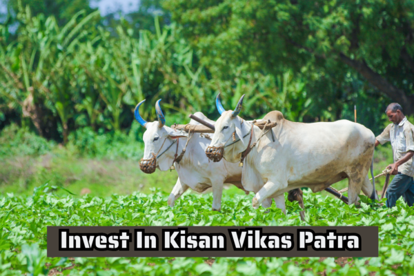 Kisan Vikas Patra