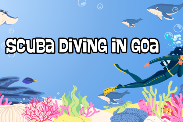 scuba diving in goa